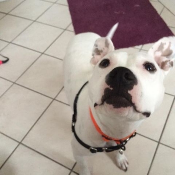 Meet your Posher, Nate - Picture 1 of 1